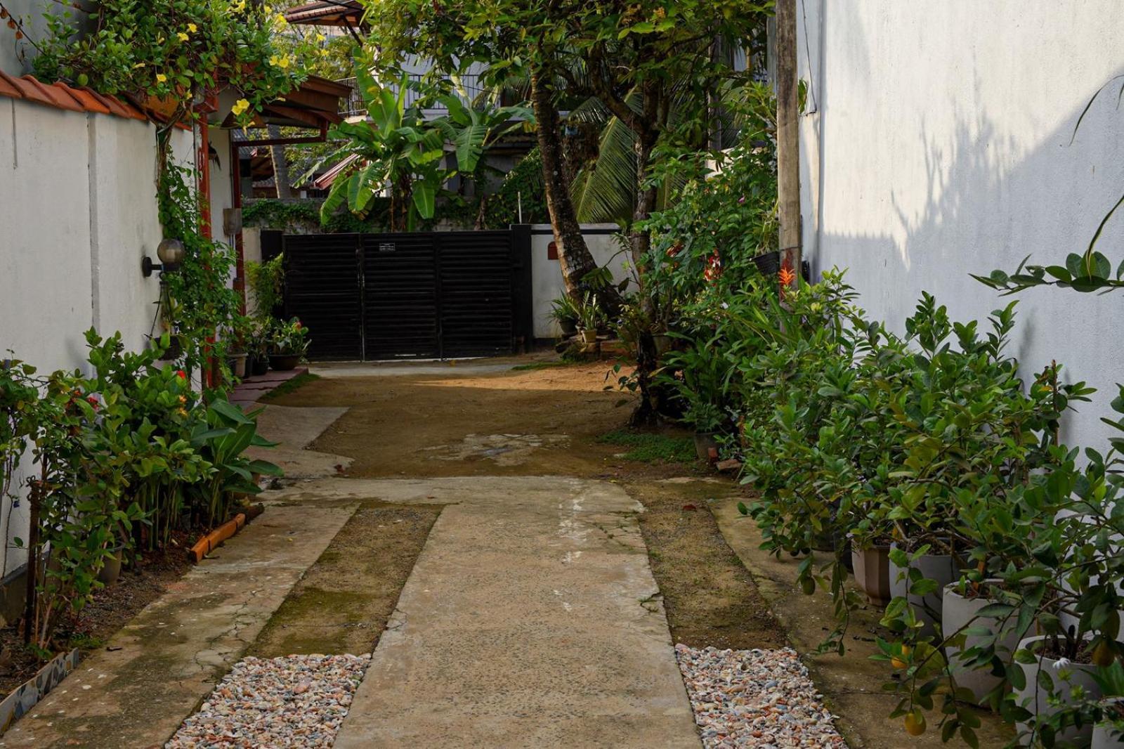 4Ty Two Homestay 高尔 外观 照片