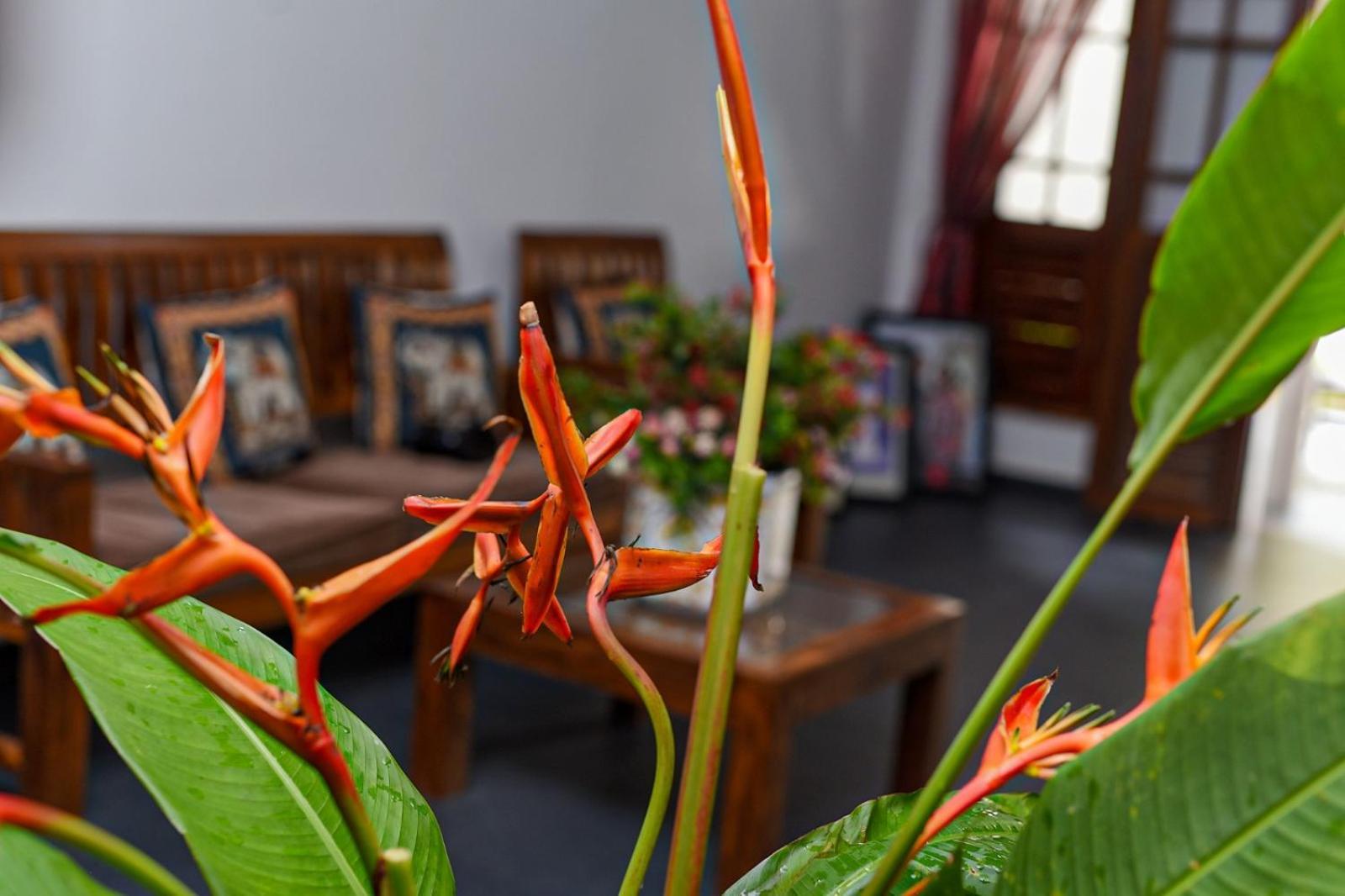4Ty Two Homestay 高尔 外观 照片